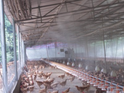 养鸡场喷雾消毒设备