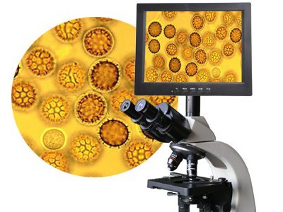 食品检测智能显微镜专业食用菌等微生物检测关注食品安全