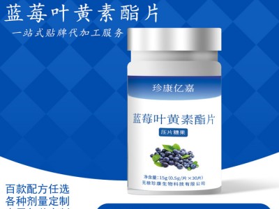 蓝莓叶黄素酯片 蓝莓花青素 蓝莓片膳食营养品批发