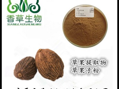 草果提取物药食同源 厂家供应草果仁粉120目 草果浓缩粉全溶于水图1