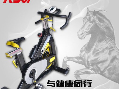 劲道 豪华商用动感单车KB-505 商用健身车 健身器材