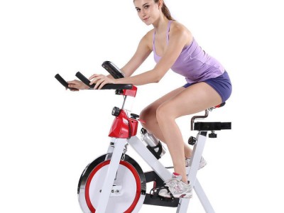 家用动感单车  健身车 健身器材 直销 超静音 减肥 健身