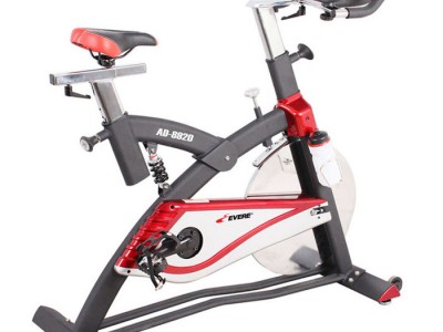 艾威动感单车AD8920超静音家用室内运动减肥健身自行健身车器材