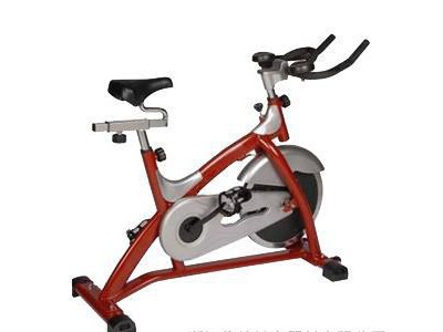 供应康之泉室内健身器材健身车动感单车