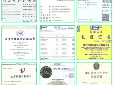陕西昂煦 人参果粉生产厂家人参果提取物  现货批发 人参果浓缩粉