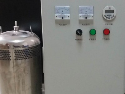 WTS-2A内置式 水箱自洁消毒器 二次供水臭氧发生器