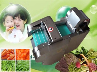 切香菇的机器 鱼皮豆腐切块机厂家 灵芝切片机富兴