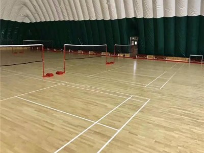 百利特定制 健身房运动木地板 体育专用木地板