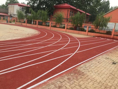 华望塑胶跑道 体育场塑胶跑道 塑胶地垫社区健身区地垫 优惠多多图8