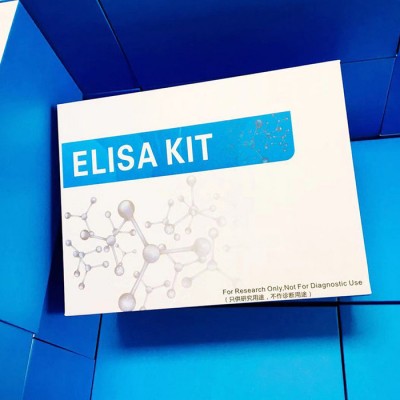人Ⅲ型胶原蛋白(ColⅢ)elisa检测试剂盒